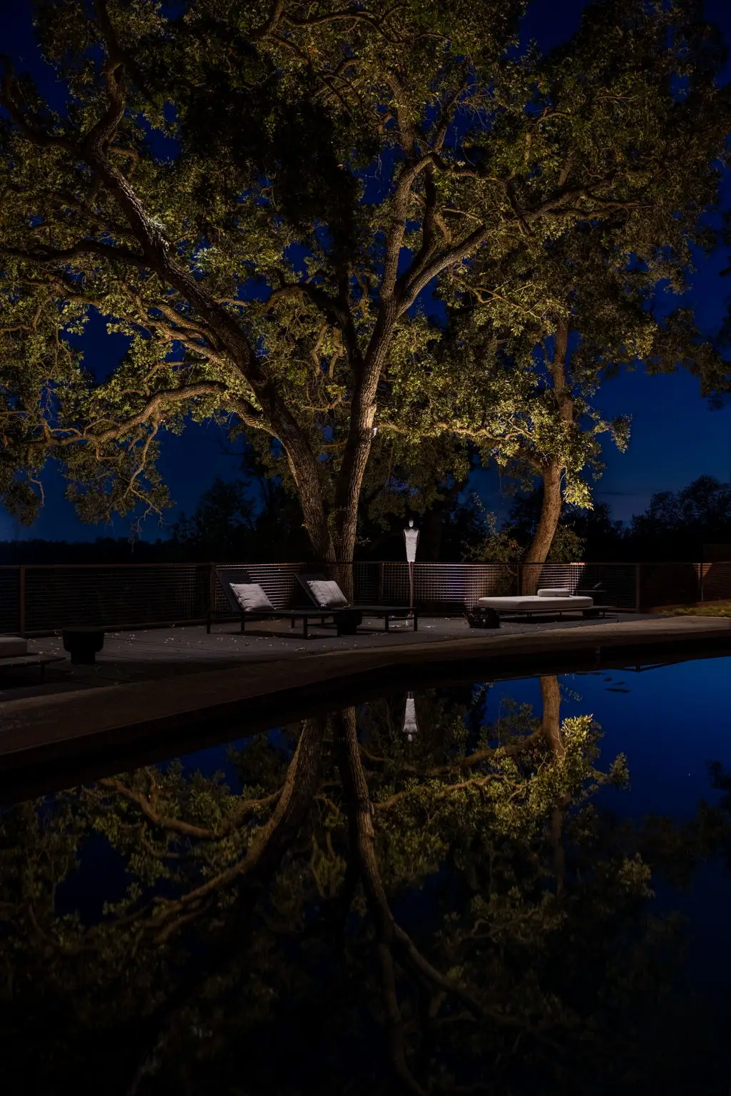 Nighttime exterior photo showing landscape lighting illuminating large oak trees and poolside seating at a Carmichael home along the American River.